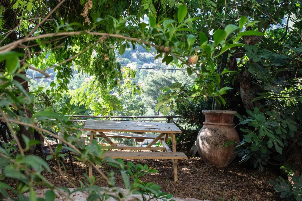 Harmony Inn ซาเฟด ภายนอก รูปภาพ
